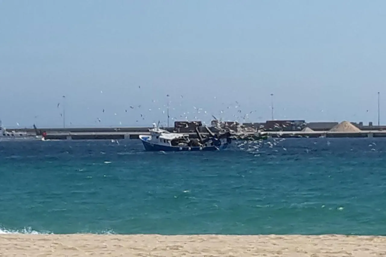 Bella Casa - Helle Wohnung In Strandnaehe Palamos